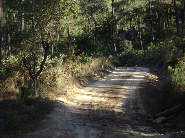 Caminos y senderos ciclistas